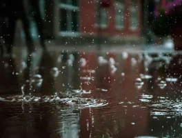 Rain: The Forecast, The Risks, and Our Path Forward