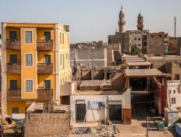 Pink Pineapple: Nature's Sweetest Internet Revolution (Talk of the Town)