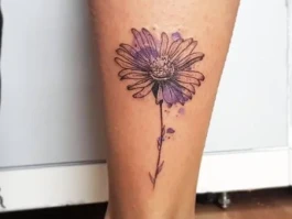 Aster's Token Buyback: A Data-Driven Look at its Price Impact