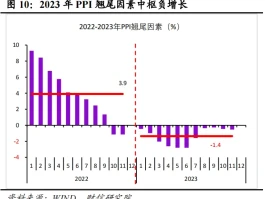 PPI: What They're Not Telling You