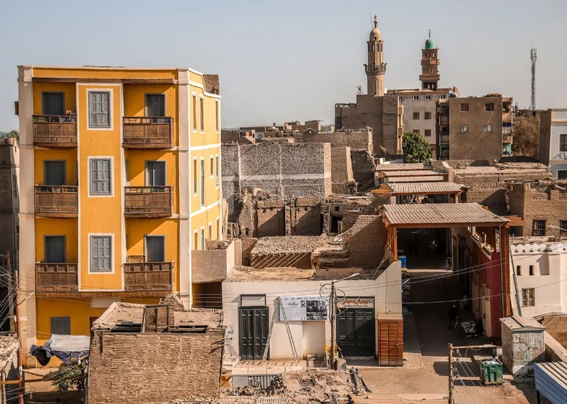 Pink Pineapple: Nature's Sweetest Internet Revolution (Talk of the Town)